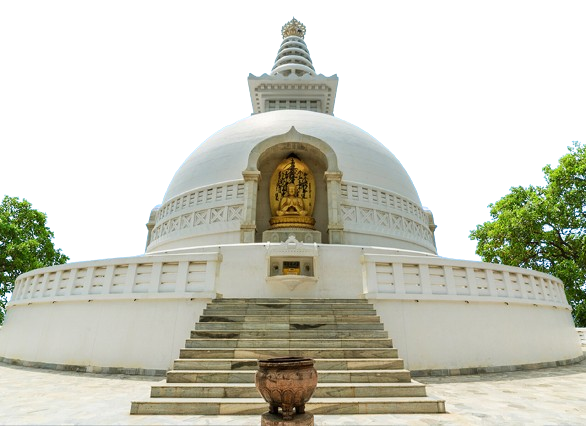 Magadh Tech Solutions